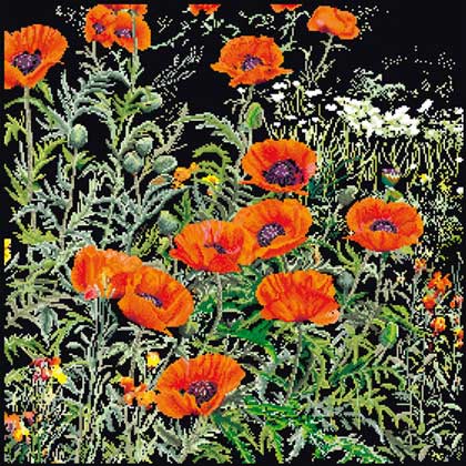 Orange Poppies - Black From Thea Gouverneur - Flowers and fruits