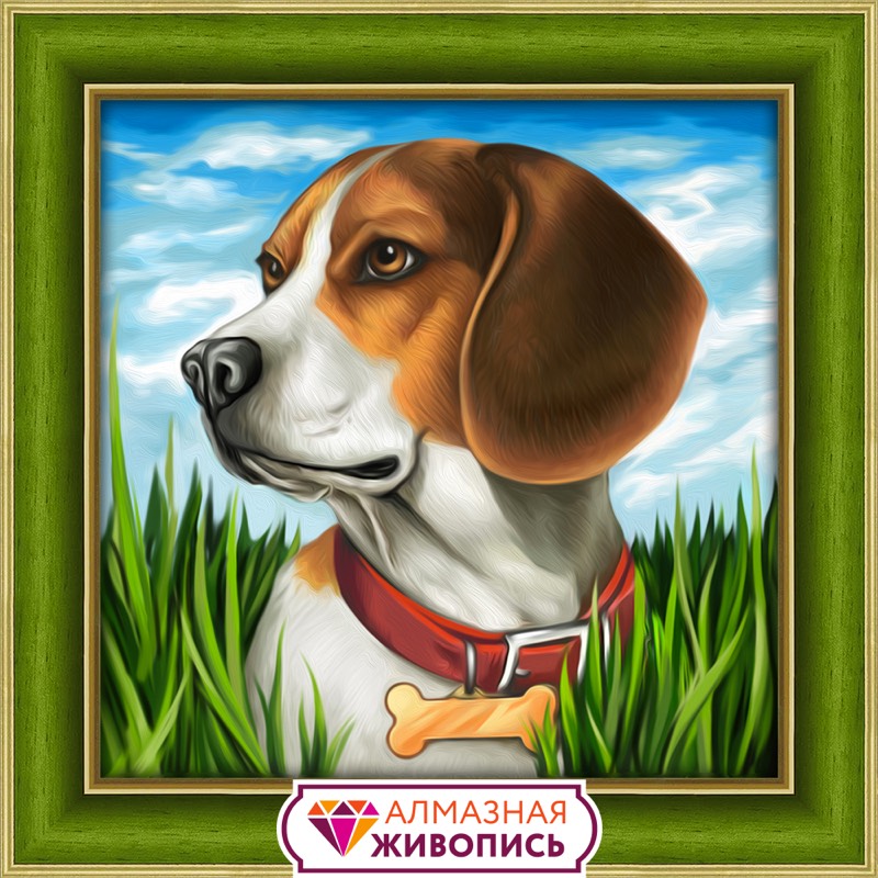 Beagle Dog - Diamond Painting Kit