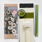 Crepe Paper Flower Kit -Peonies - 084001400069