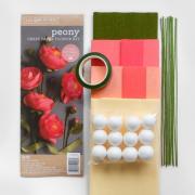 Crepe Paper Flower Anemone Kit From Lia Griffith - Adhesive and  Scrapbooking Paper - Ornaments, Paper, Colors - Casa Cenina