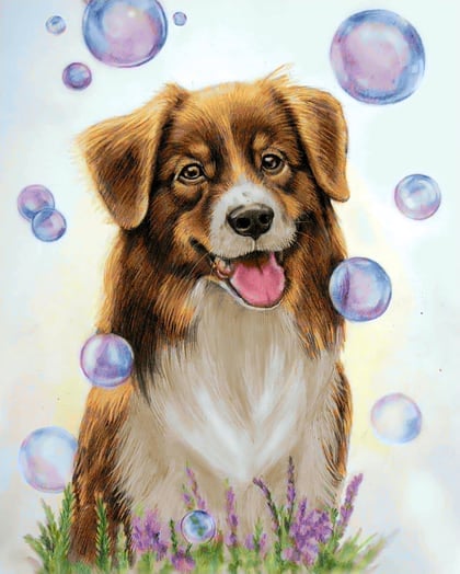 Australian Shepherd Dog - Diamond Painting Kit