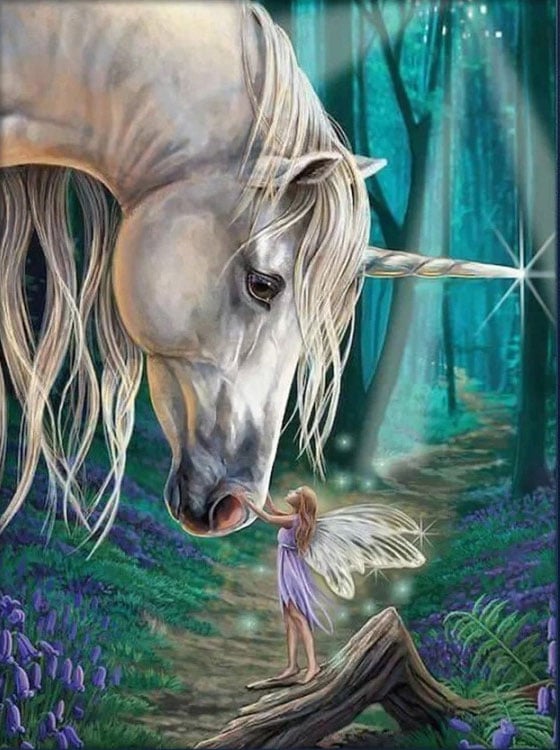 unicorns and fairies