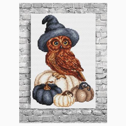 Harry Potter 2 Cross Stitch Pattern by Les Petites Croix de Lucie