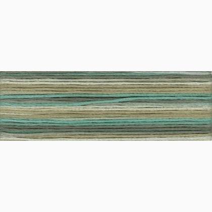 8041 Cosmo Seasons Variegated Embroidery Floss